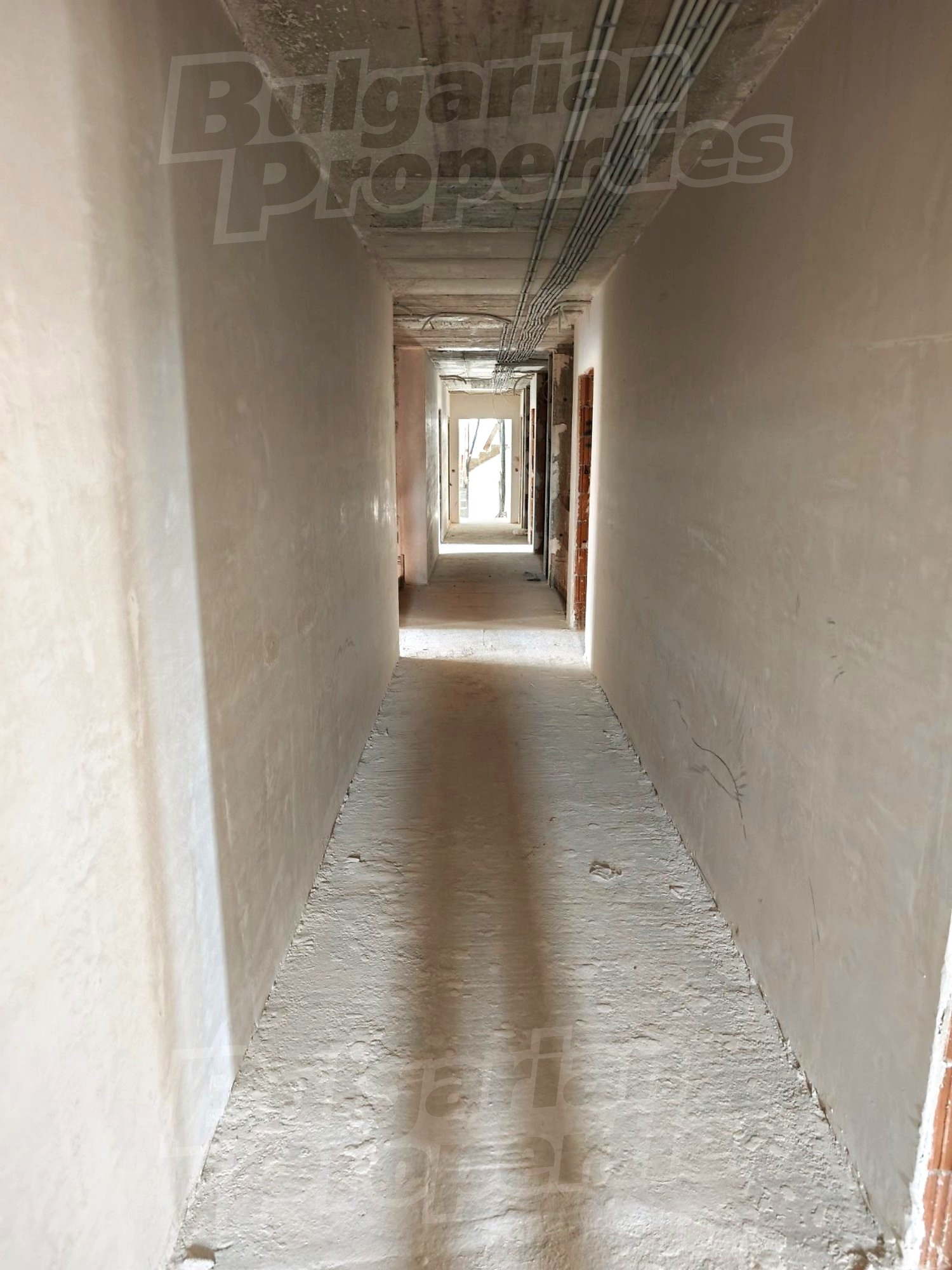 Gallery Picture 6