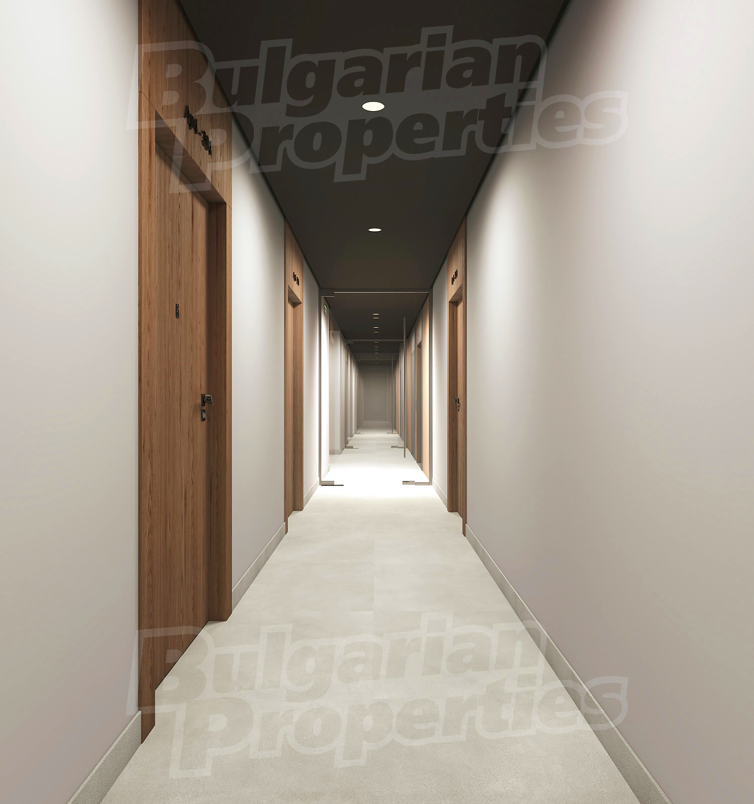 Gallery Picture 30