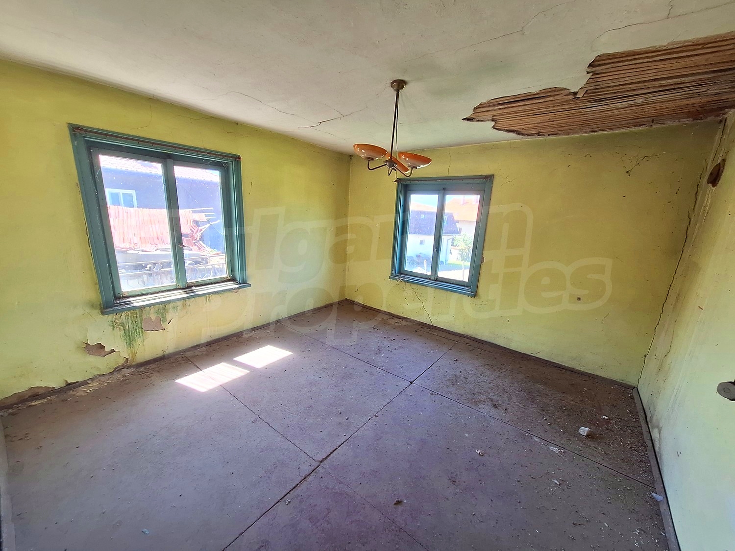 Gallery Picture 13