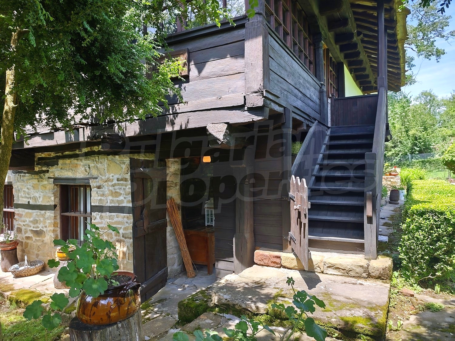 Gallery Picture 9