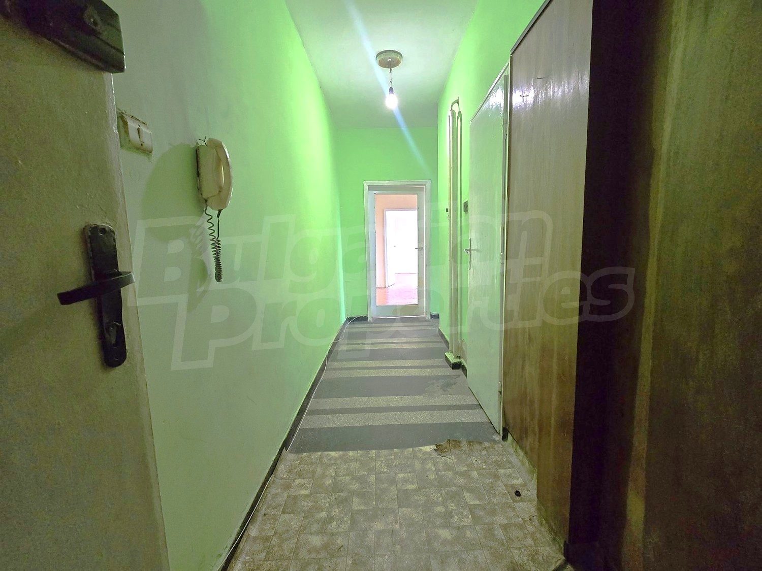 Gallery Picture 7