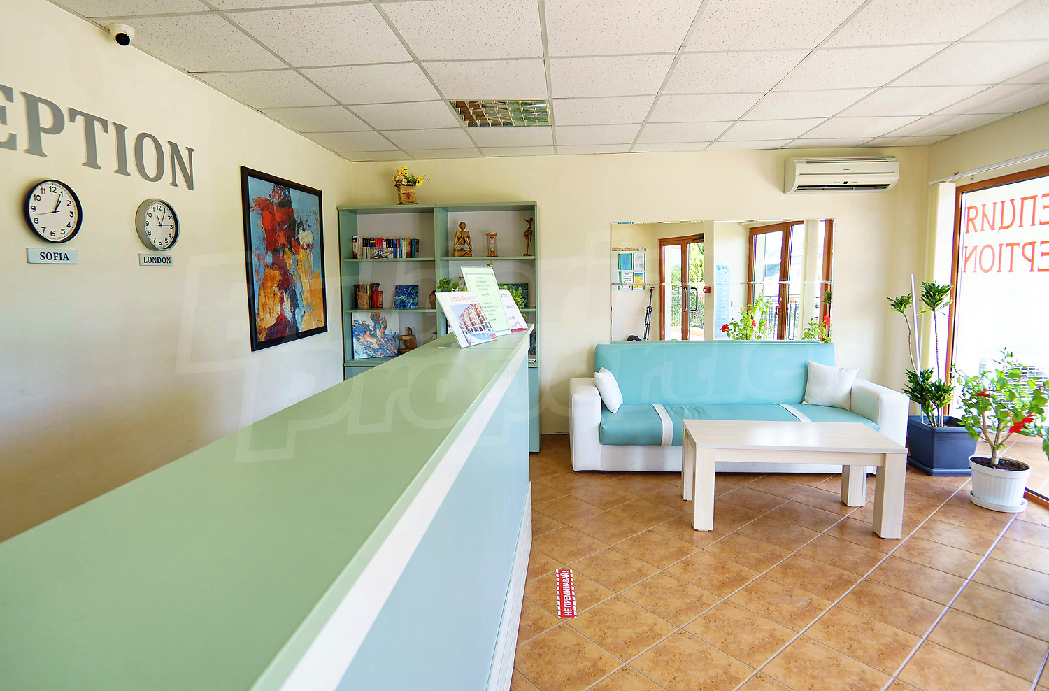 Gallery Picture 12