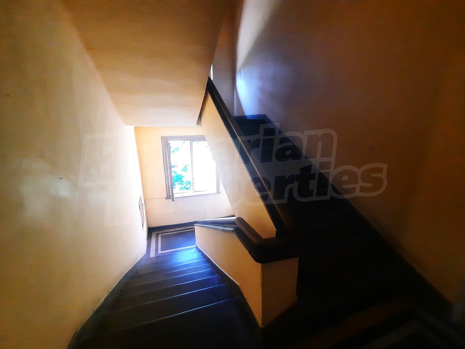 Gallery Picture 10