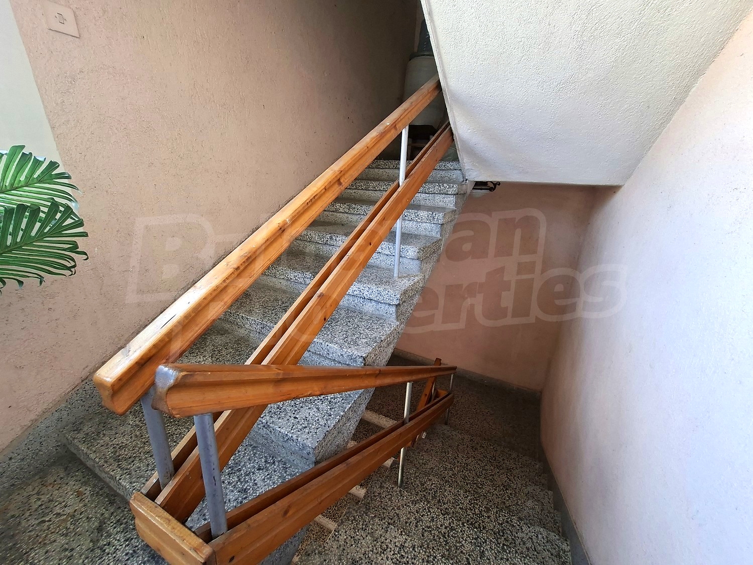Gallery Picture 15