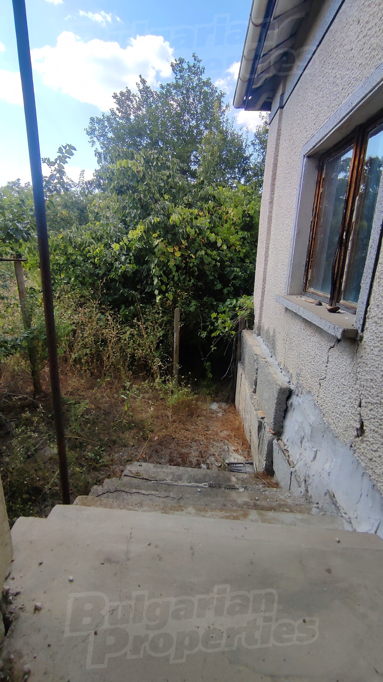 Gallery Picture 15