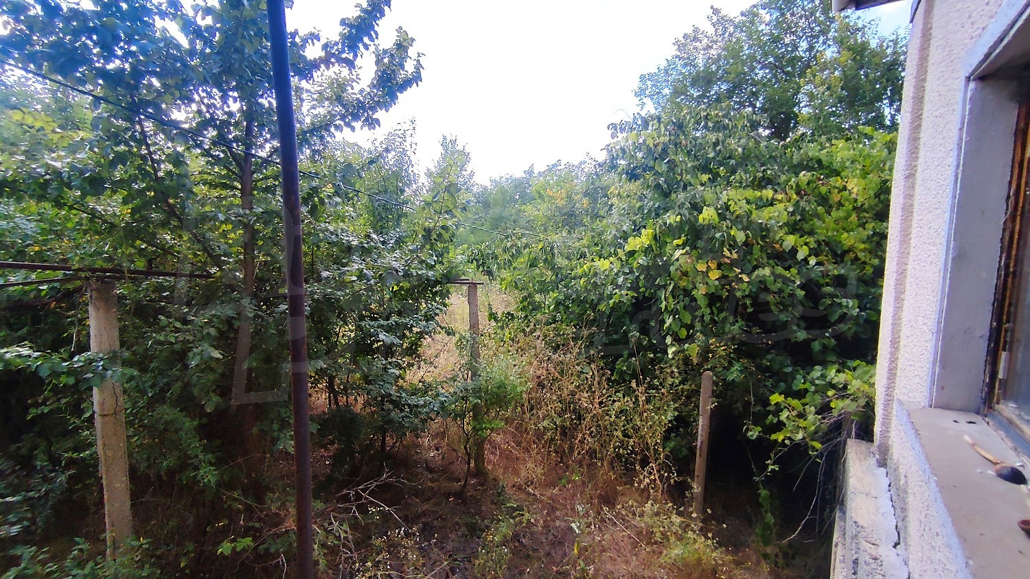 Gallery Picture 16