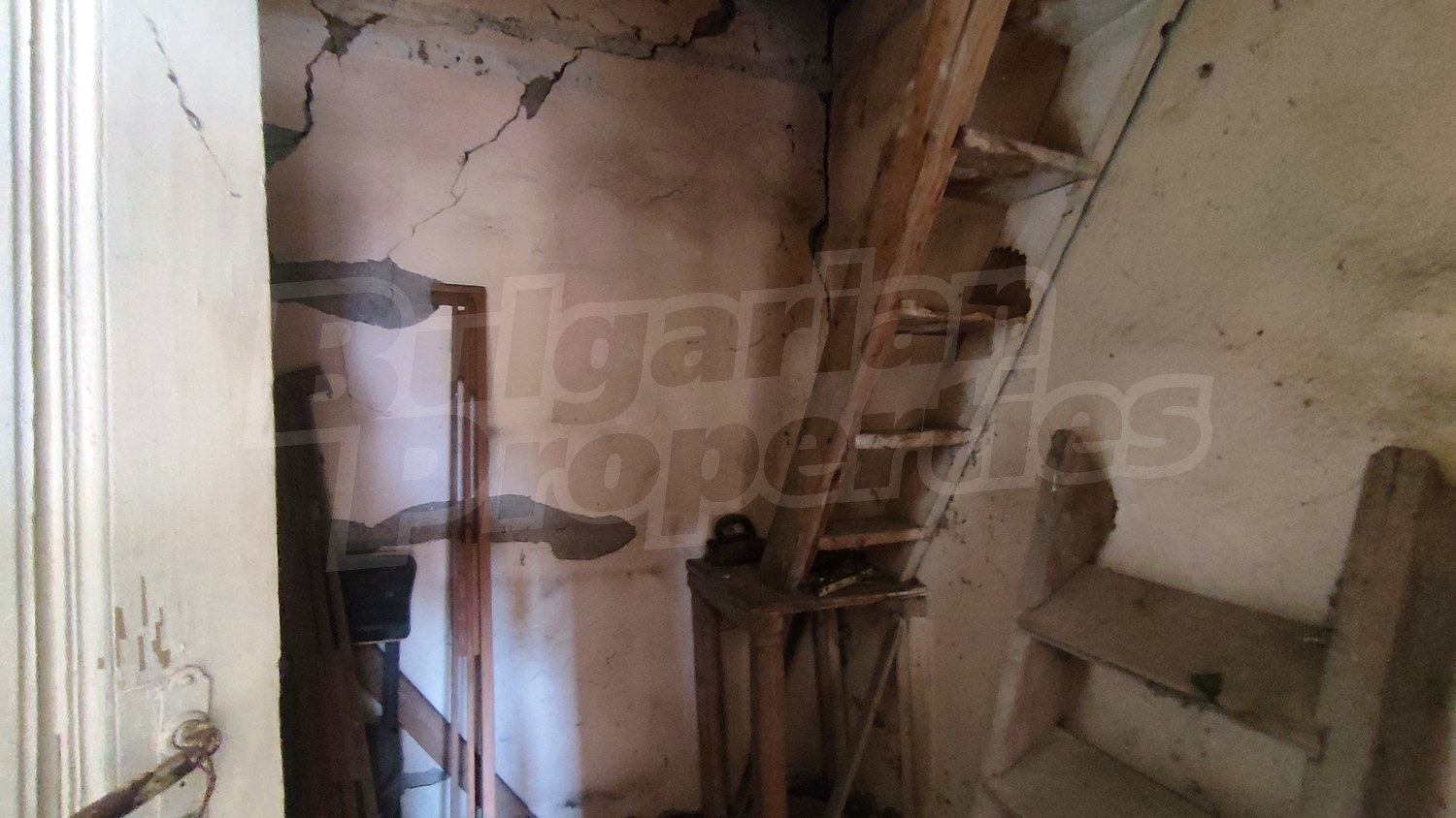 Gallery Picture 14