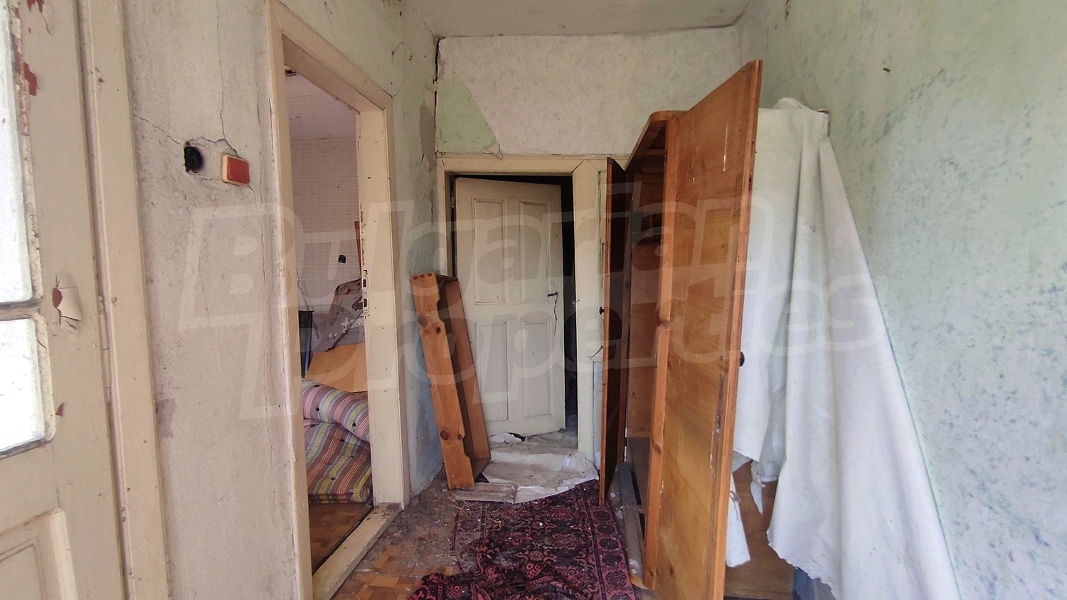 Gallery Picture 13