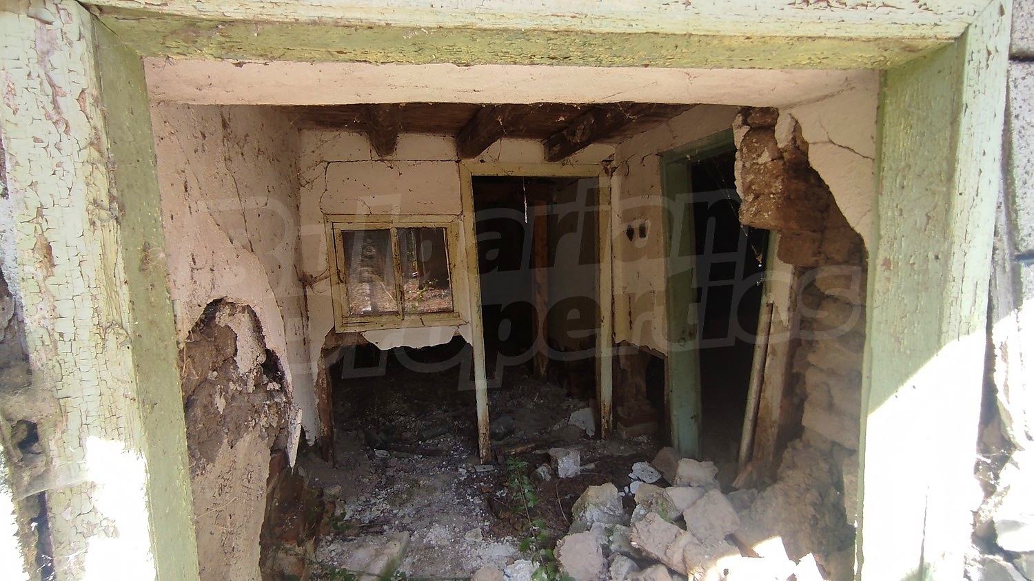 Gallery Picture 10