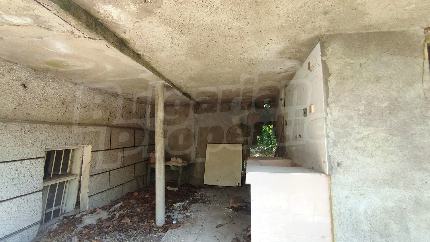 Gallery Picture 7