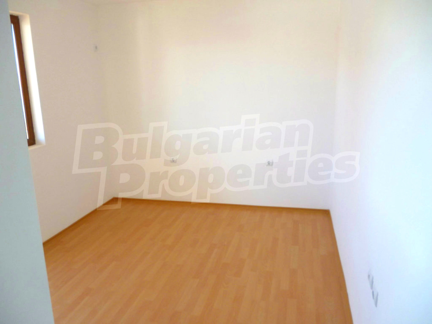 Gallery Picture 44