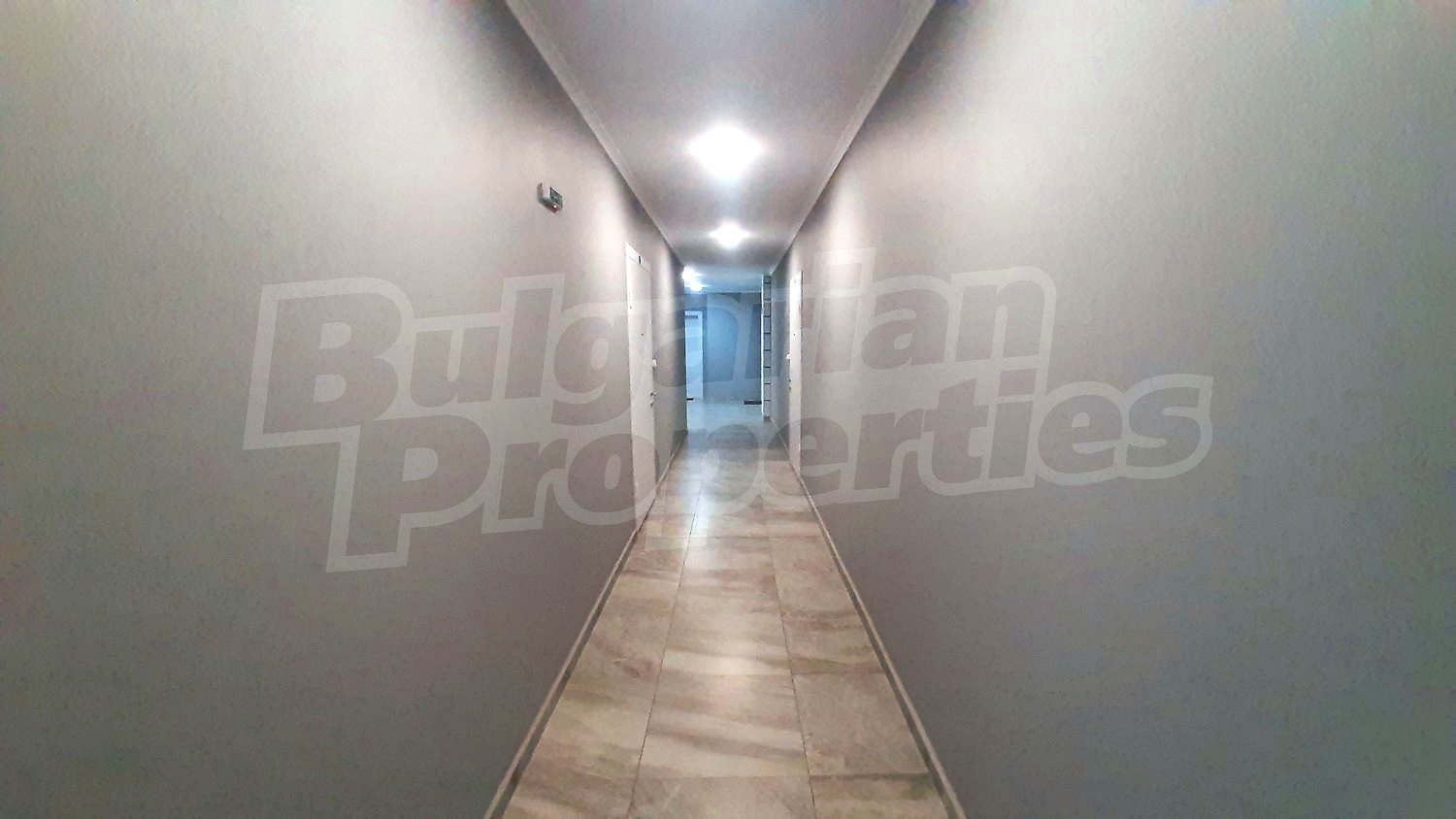 Gallery Picture 17