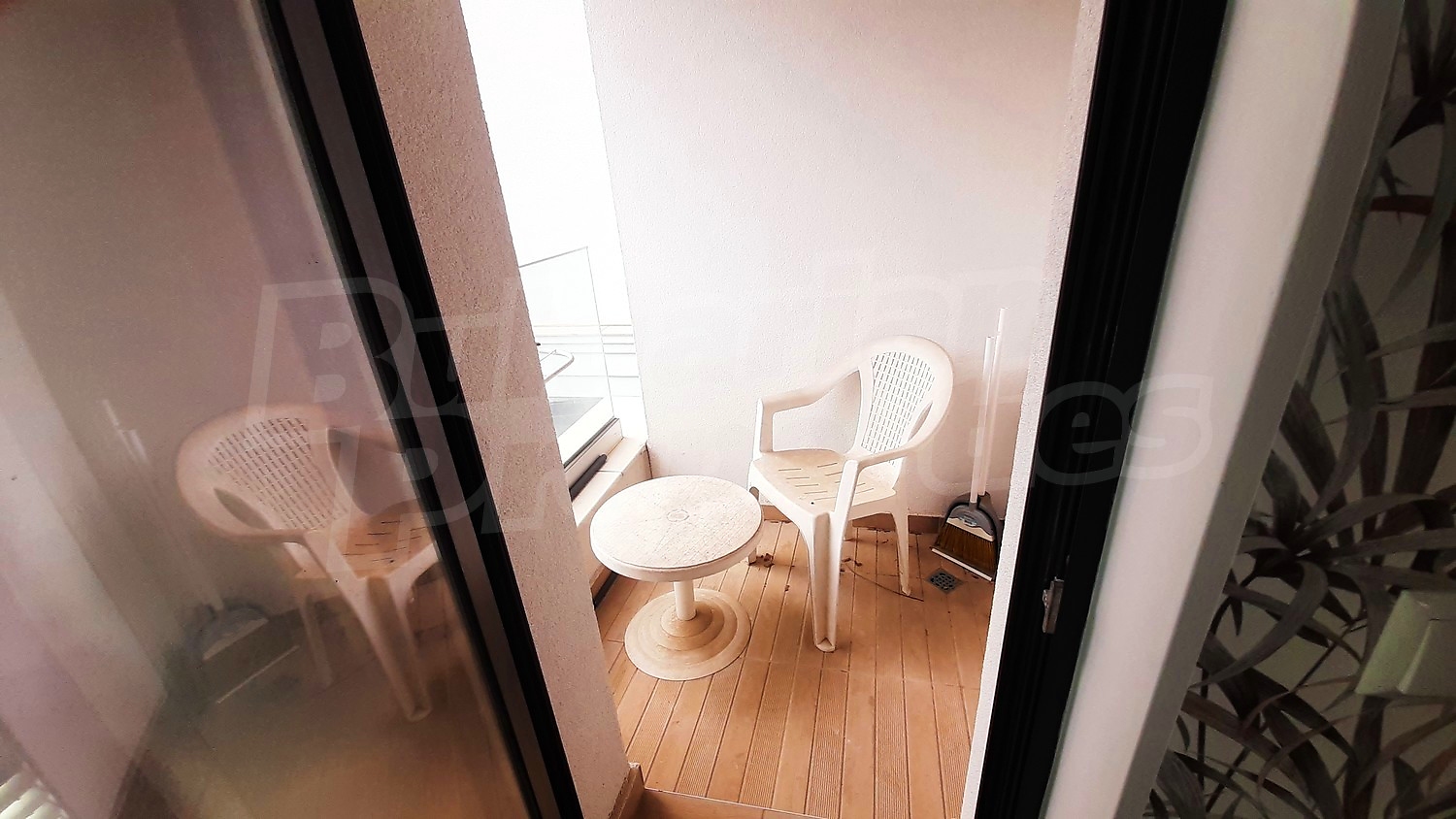 Gallery Picture 16