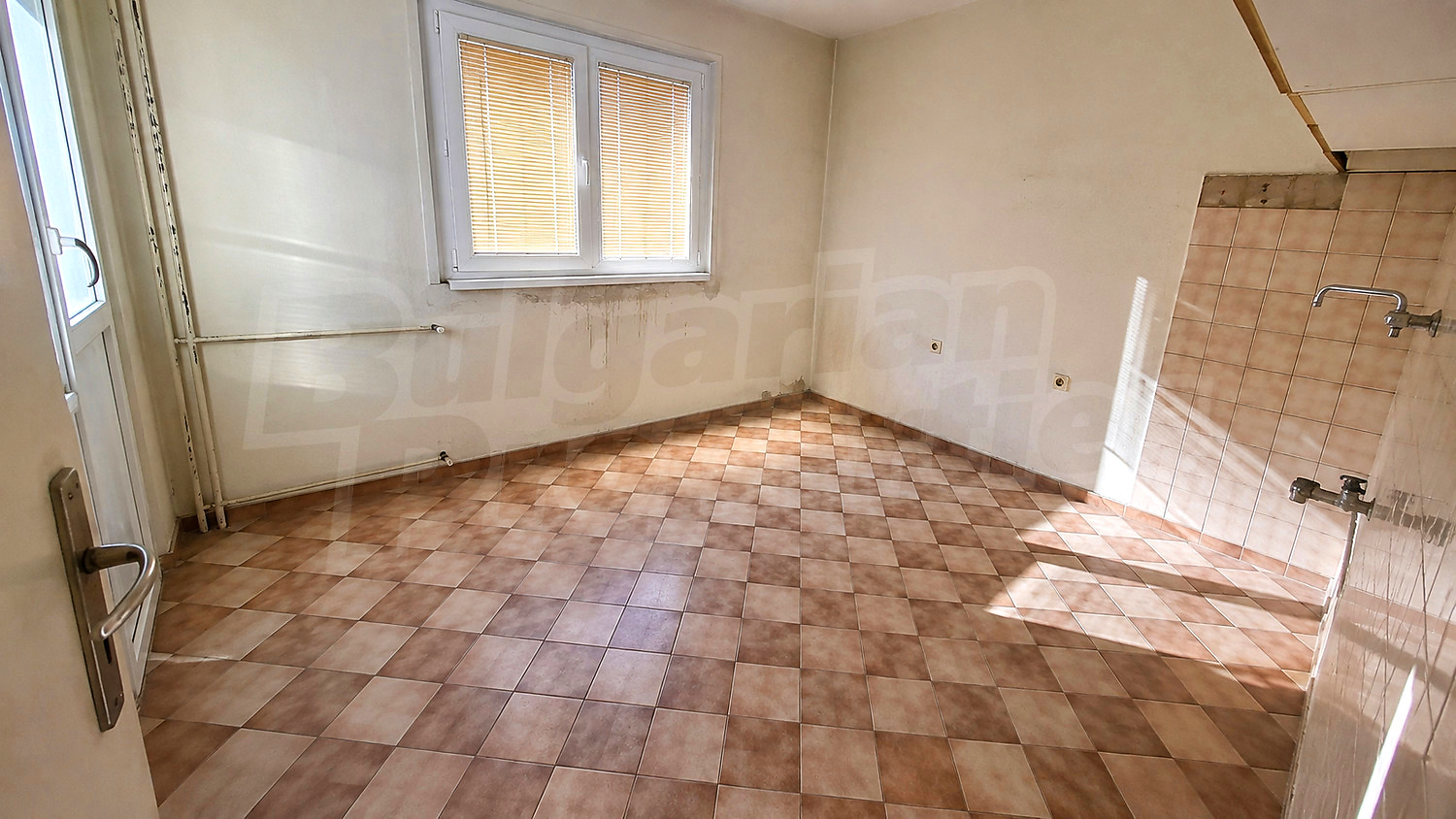 Gallery Picture 12