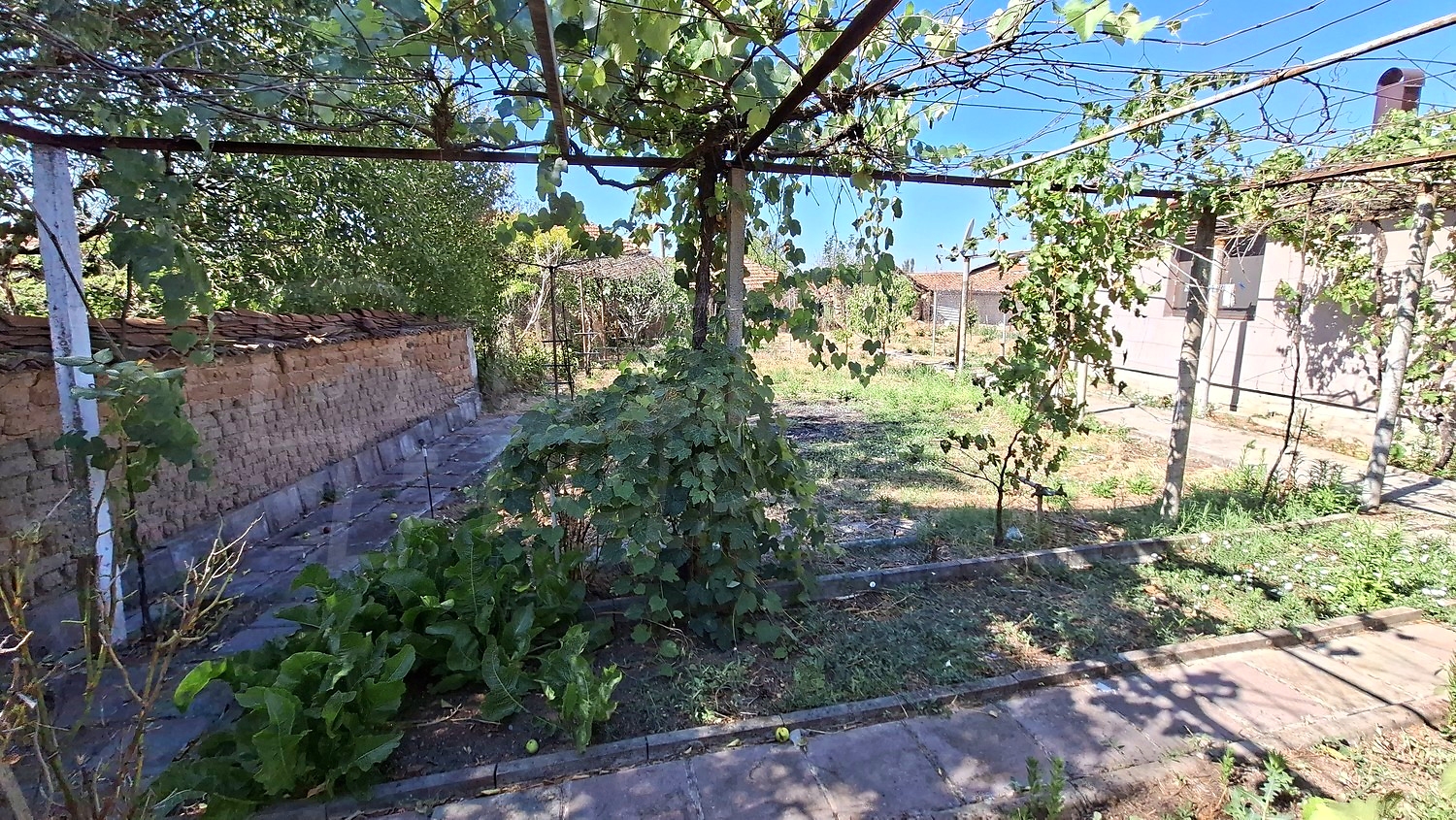 Gallery Picture 27
