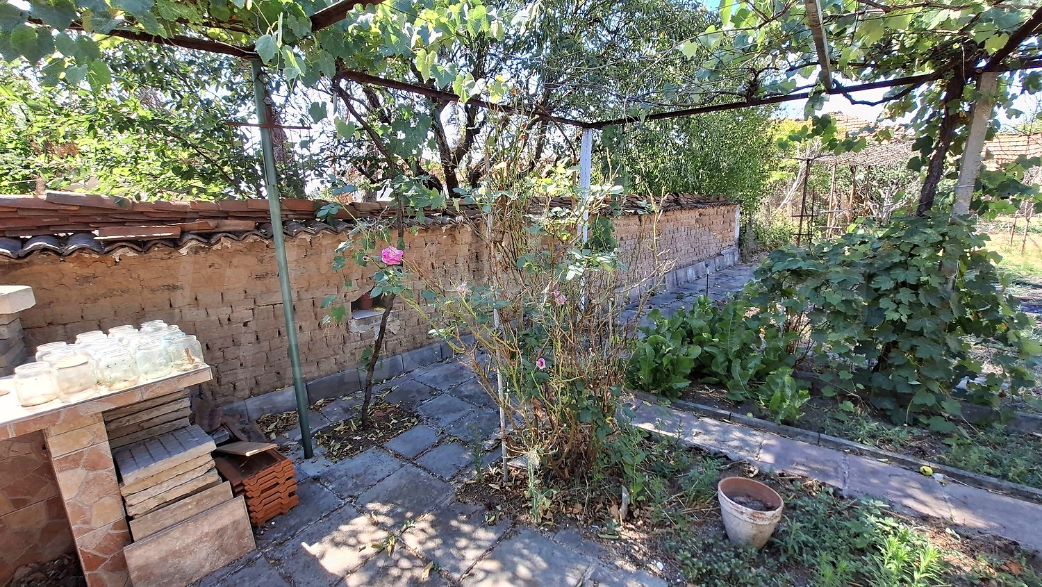 Gallery Picture 26