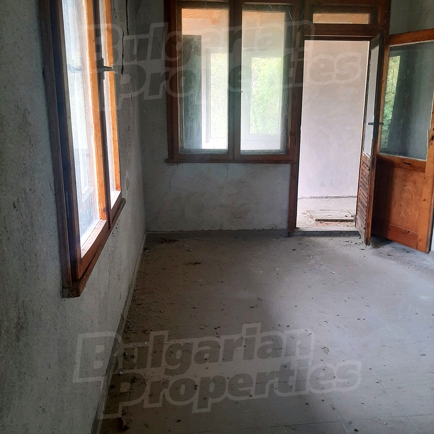 Gallery Picture 28
