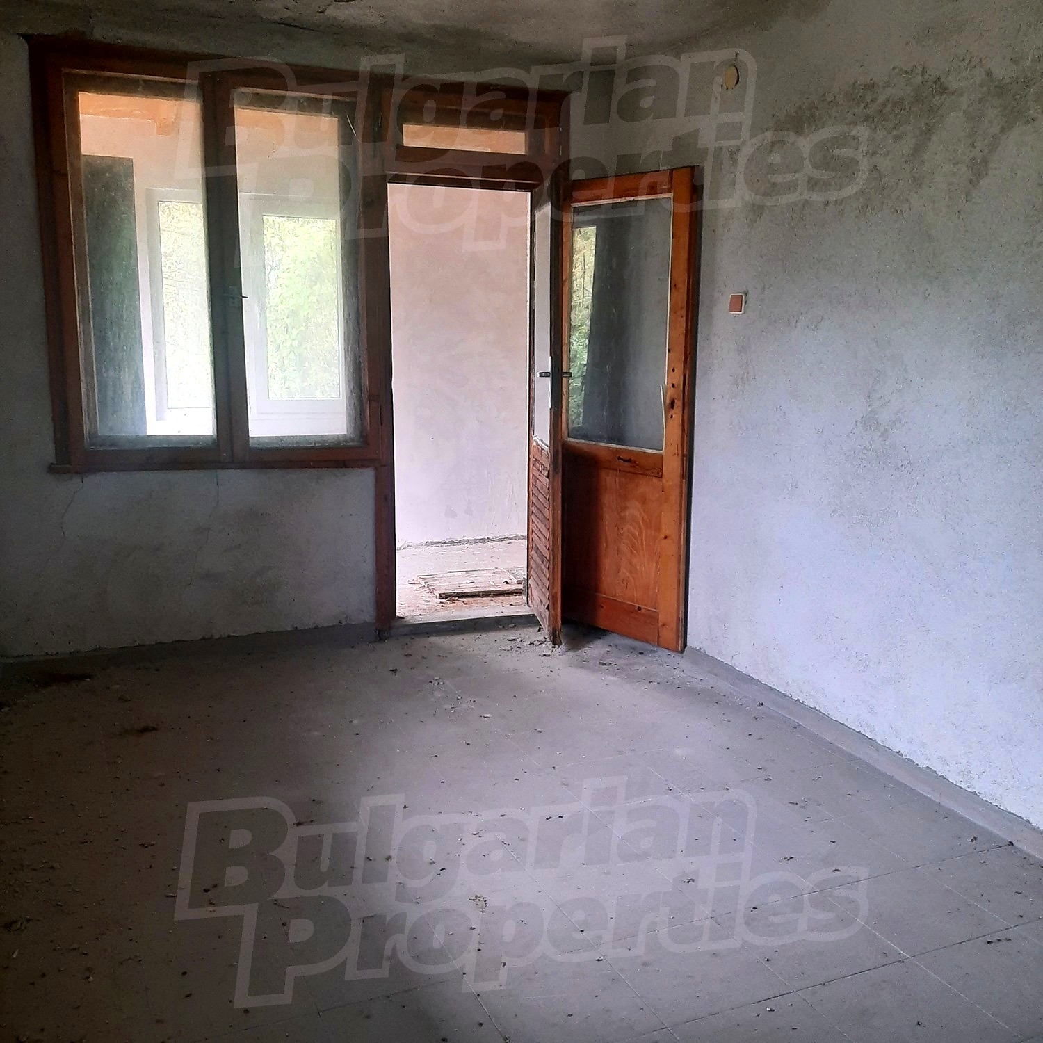 Gallery Picture 27
