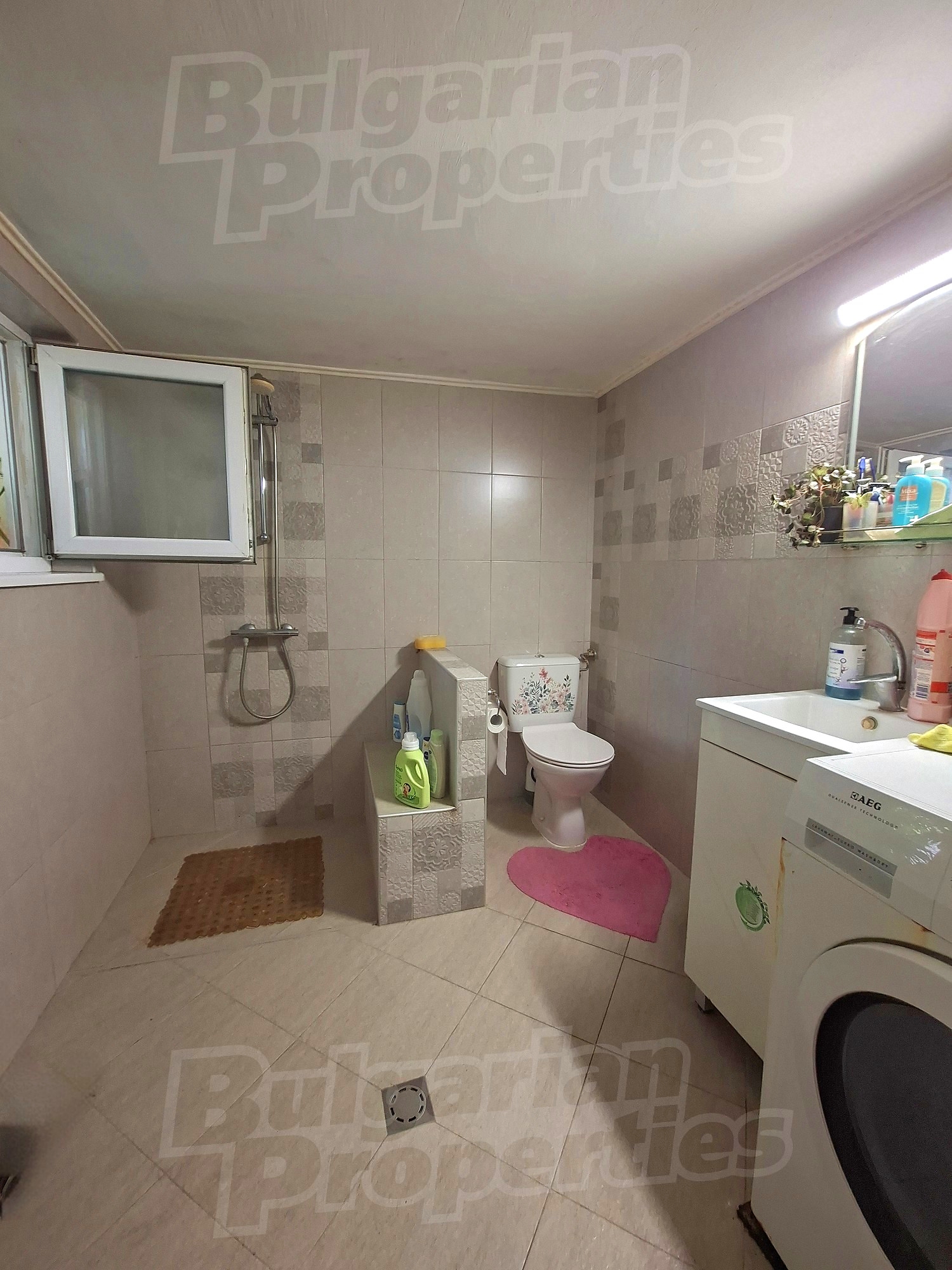 Gallery Picture 26