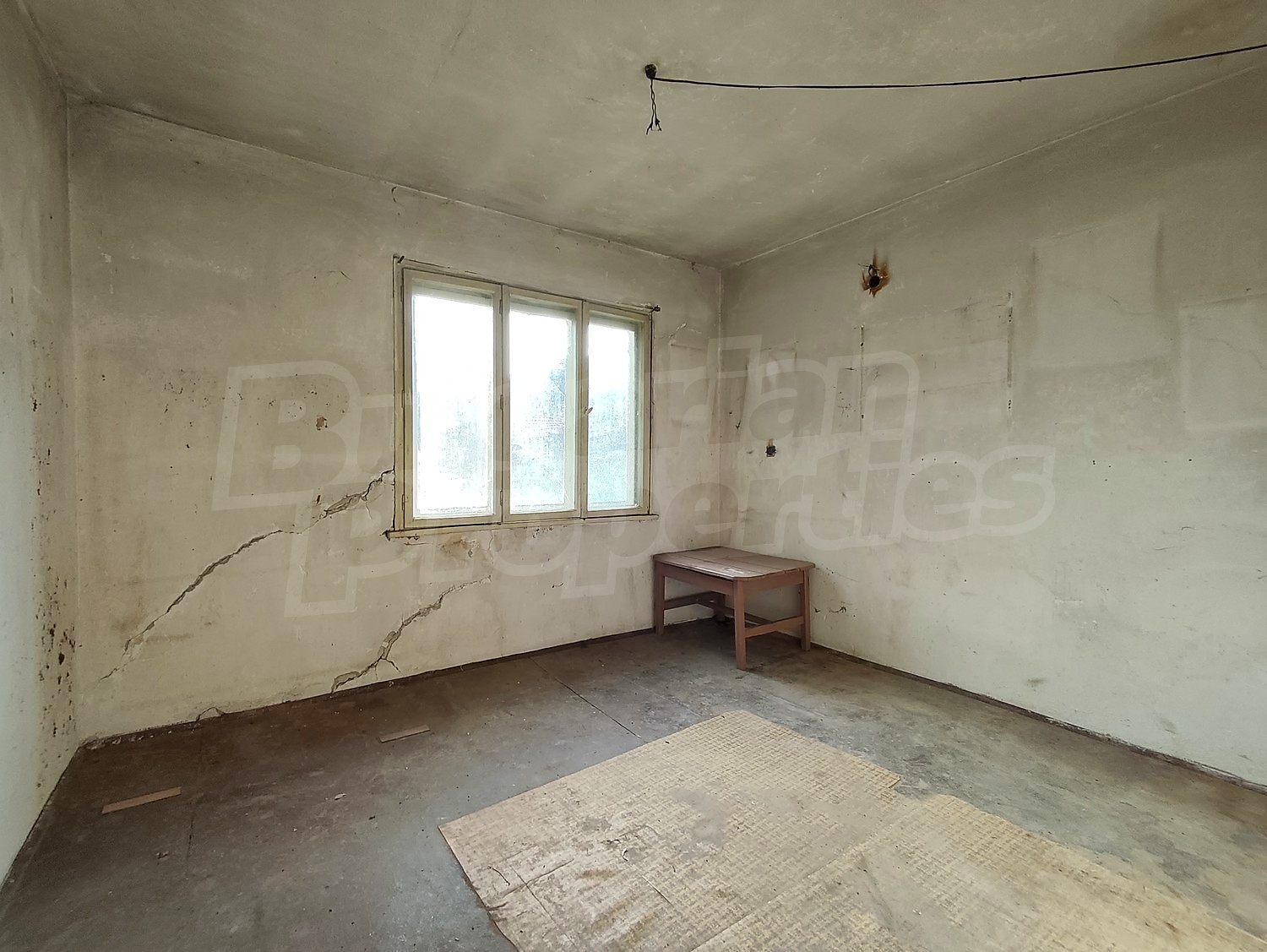 Gallery Picture 16