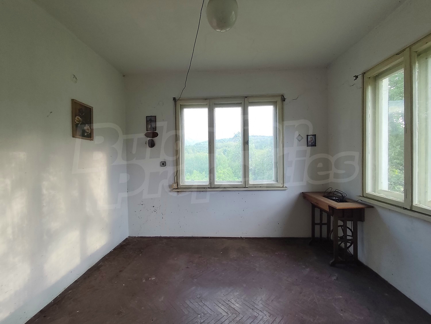 Gallery Picture 15