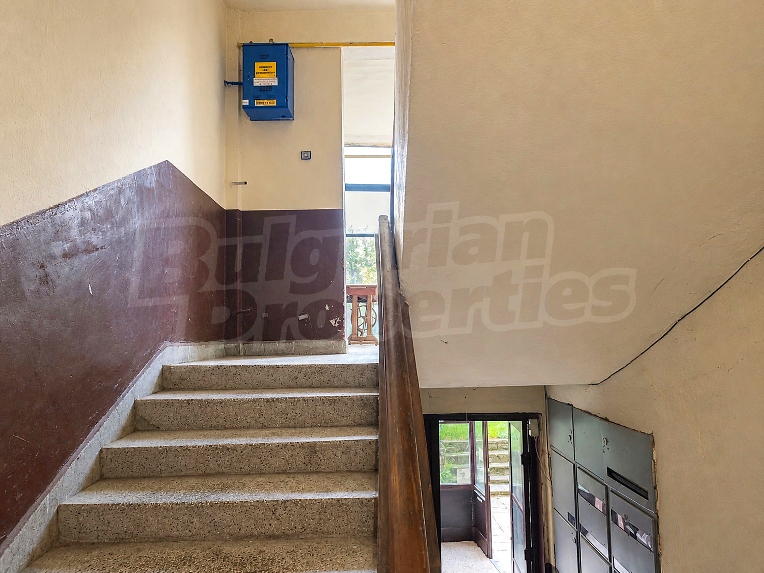 Gallery Picture 17