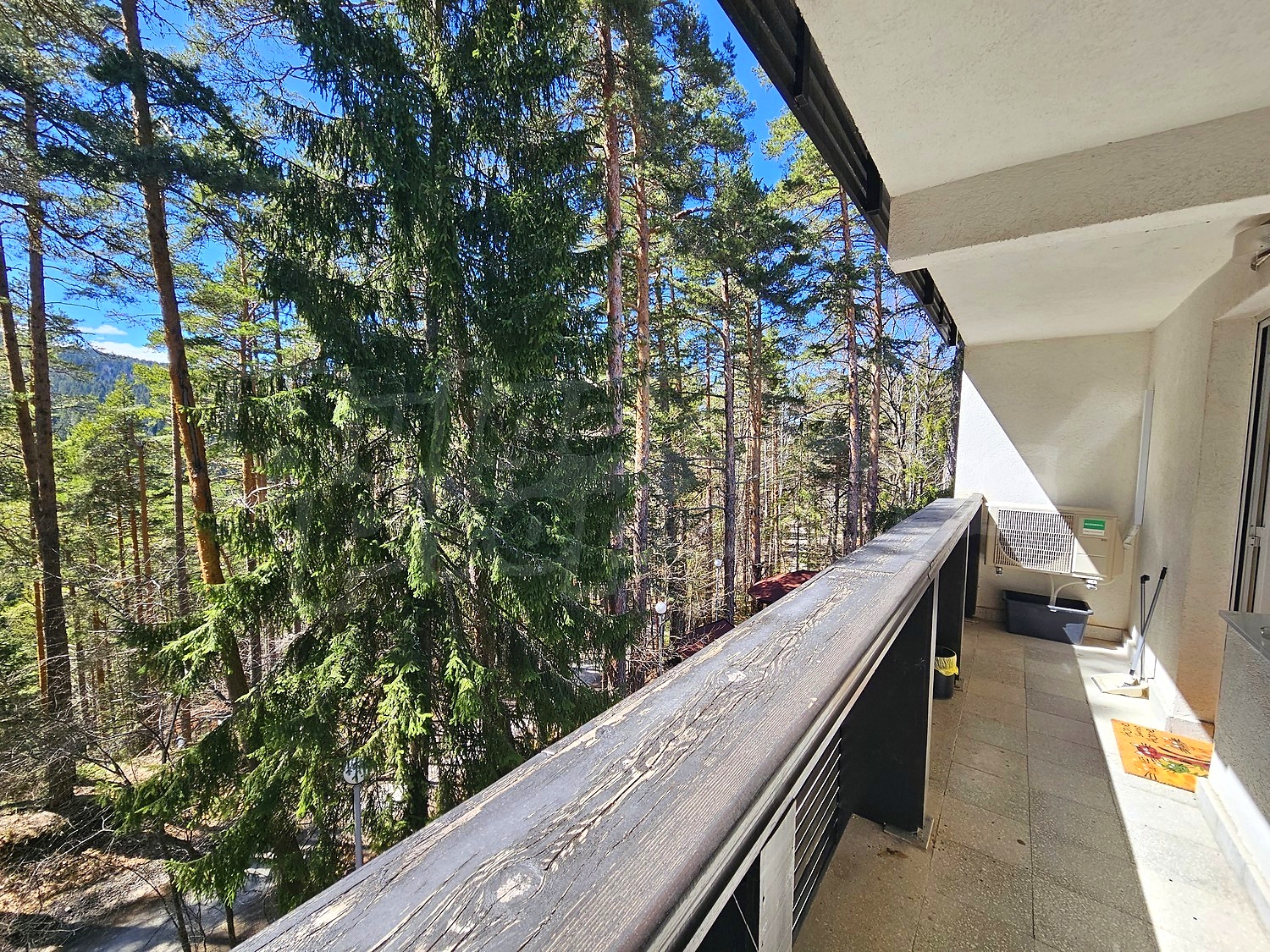 Gallery Picture 17