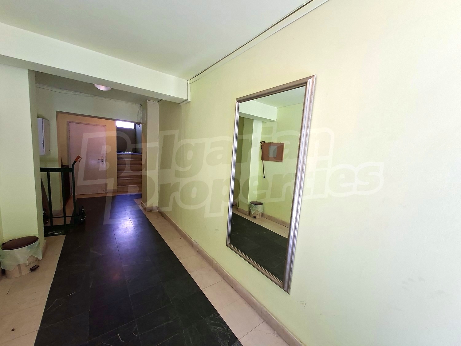 Gallery Picture 19