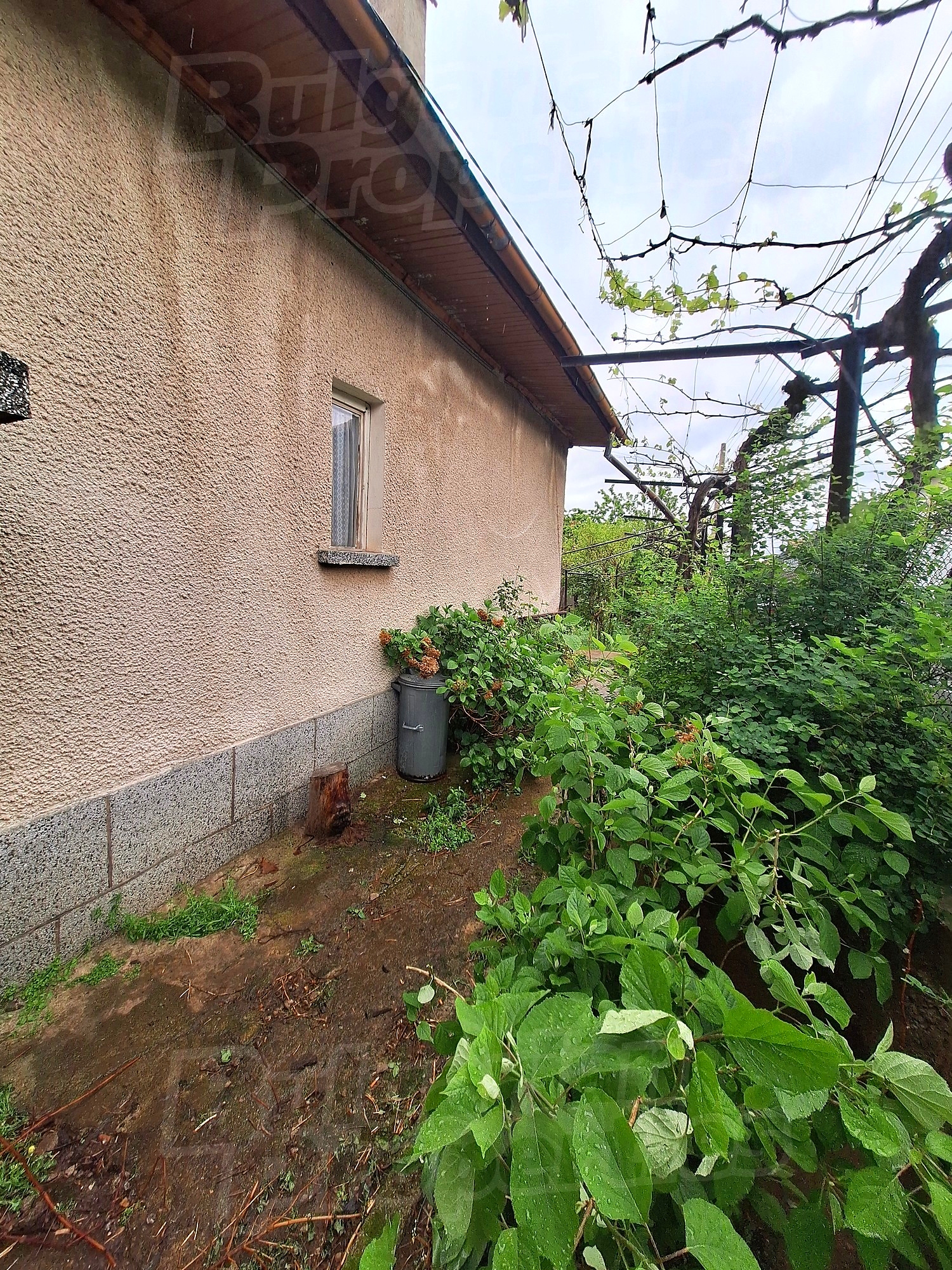 Gallery Picture 11