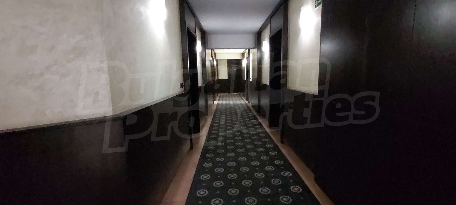 Gallery Picture 14