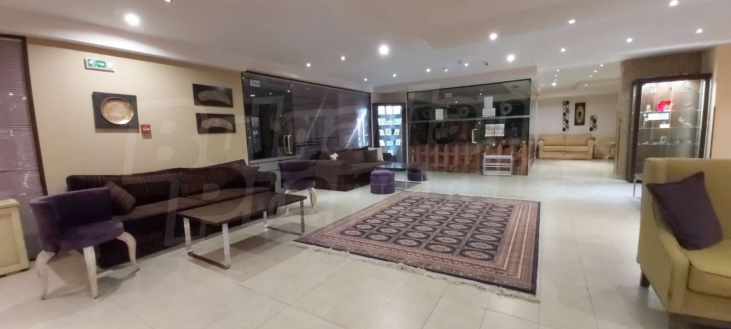 Gallery Picture 15