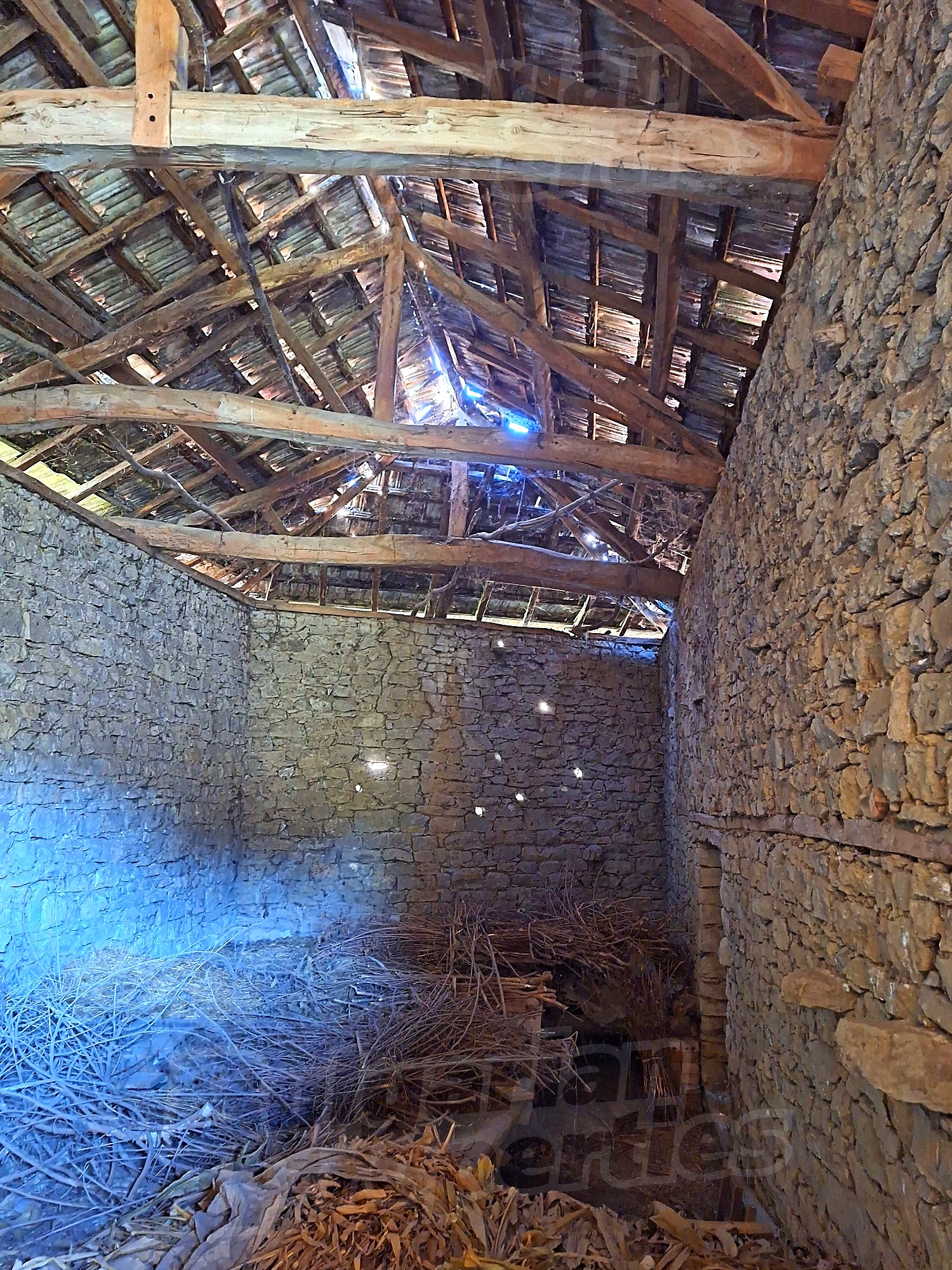 Gallery Picture 16