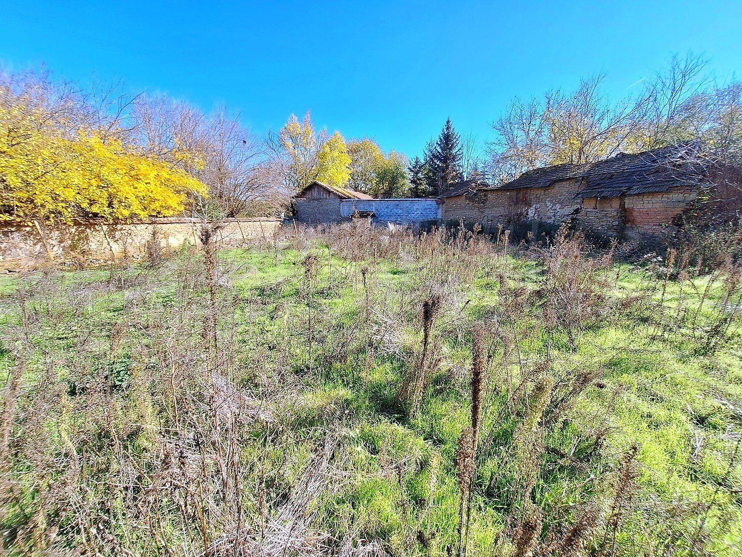 Gallery Picture 14