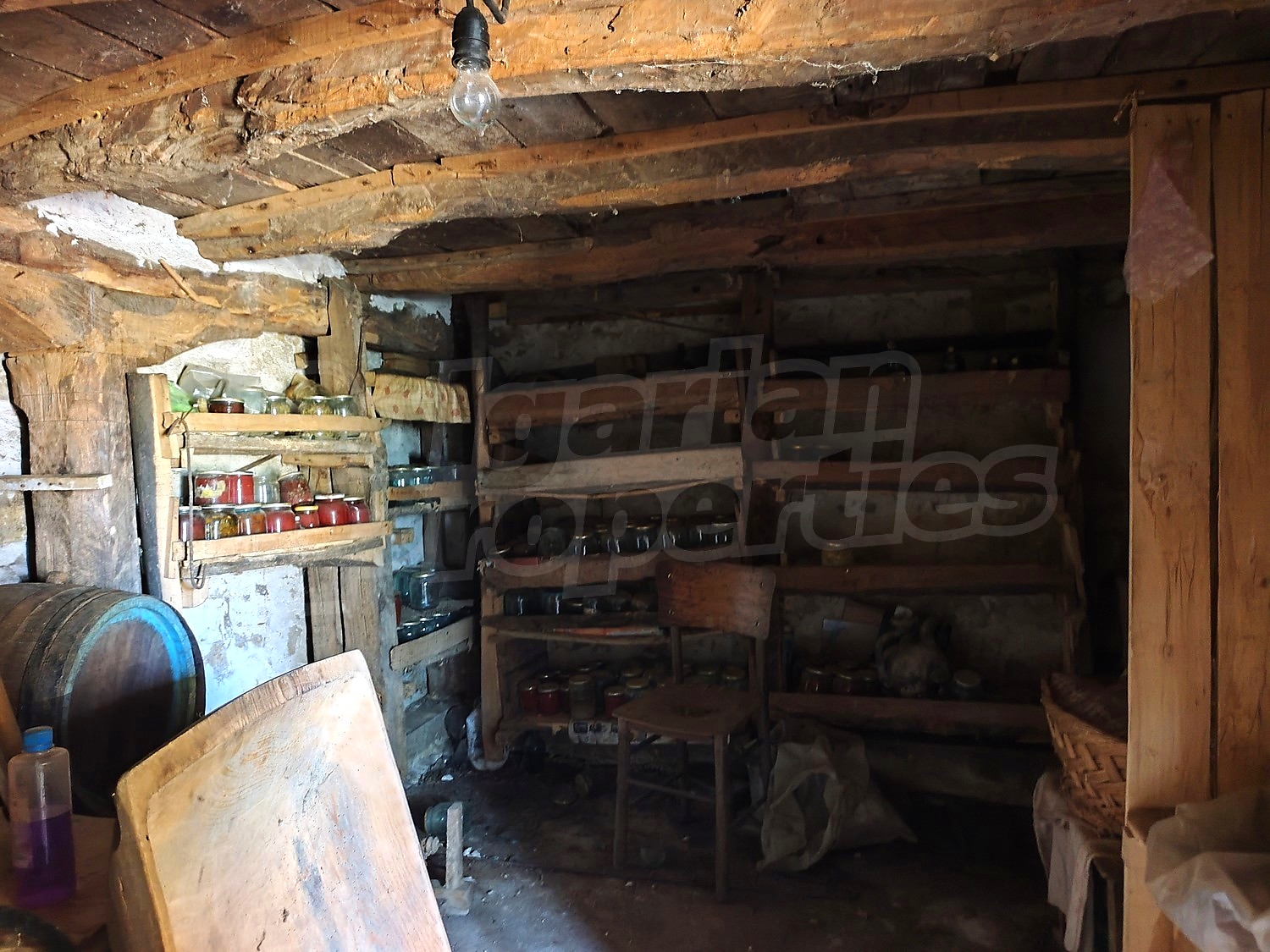 Gallery Picture 22