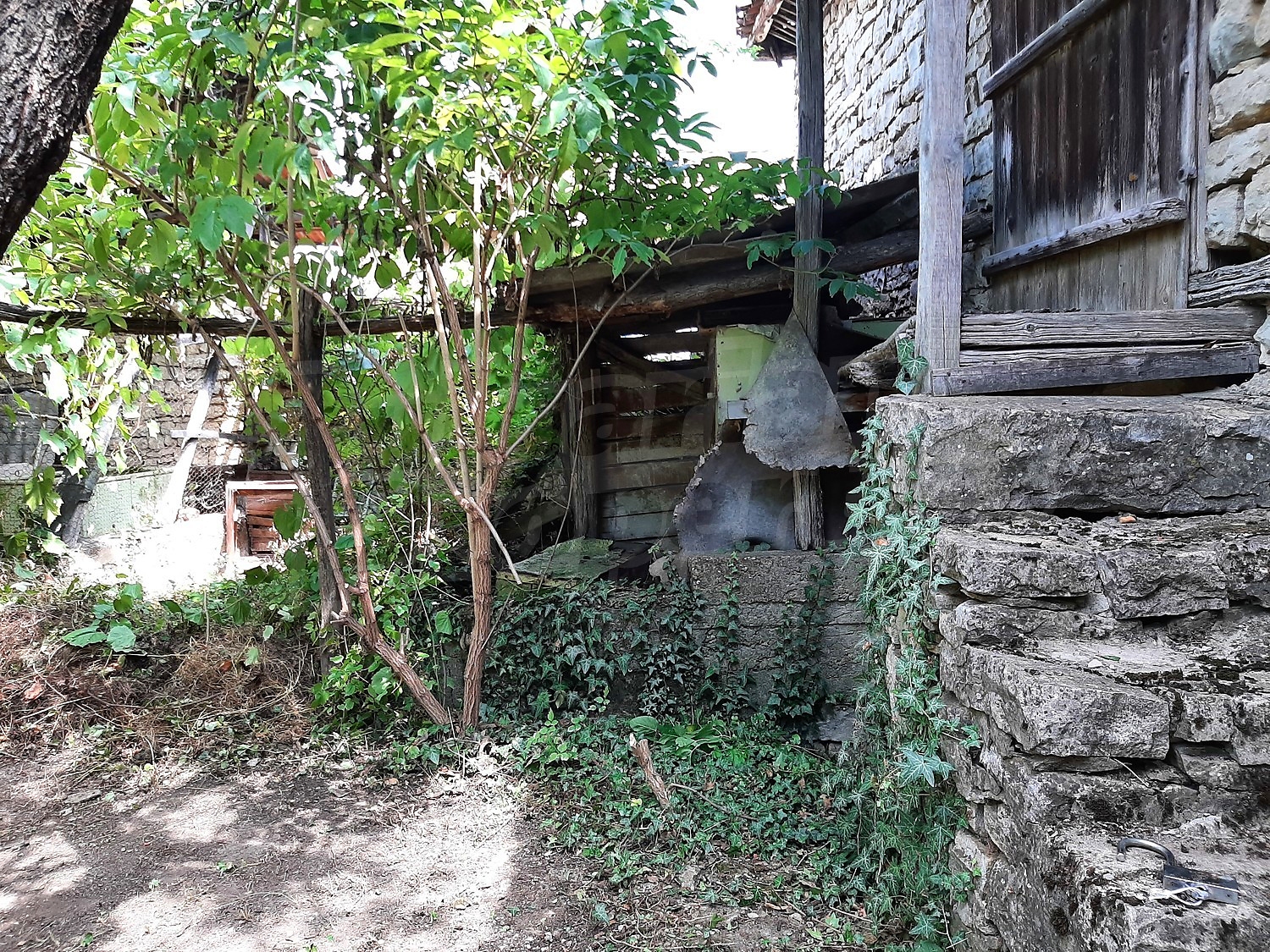Gallery Picture 24