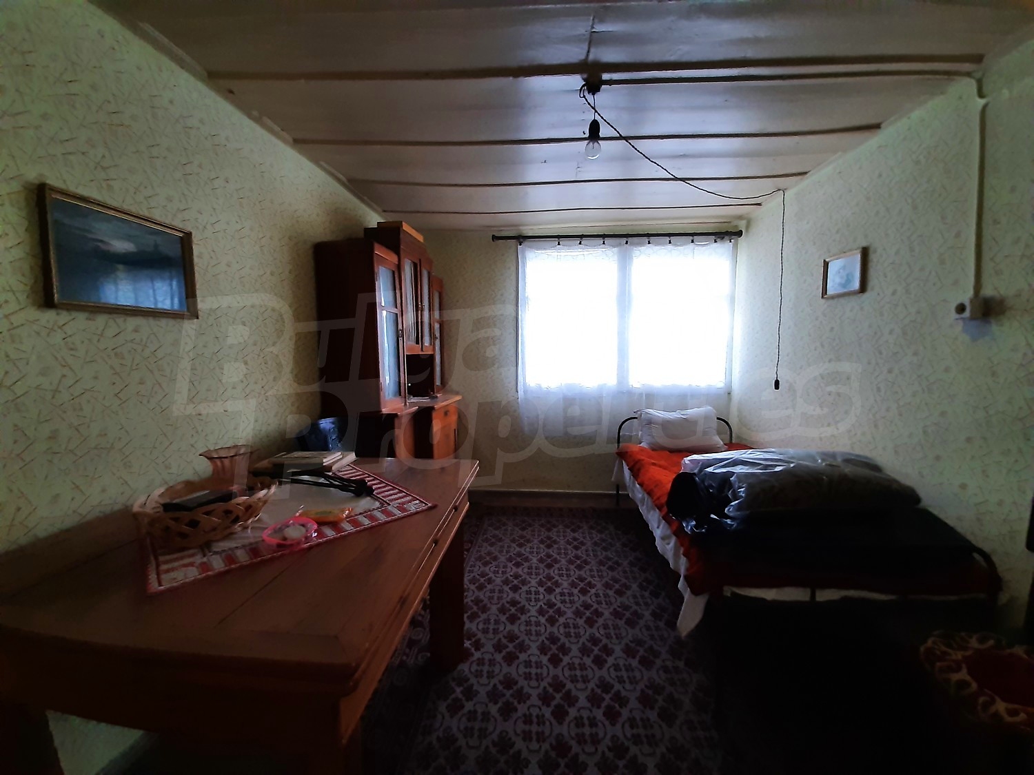 Gallery Picture 11