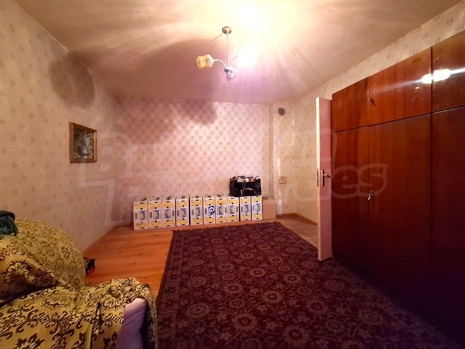 Gallery Picture 19