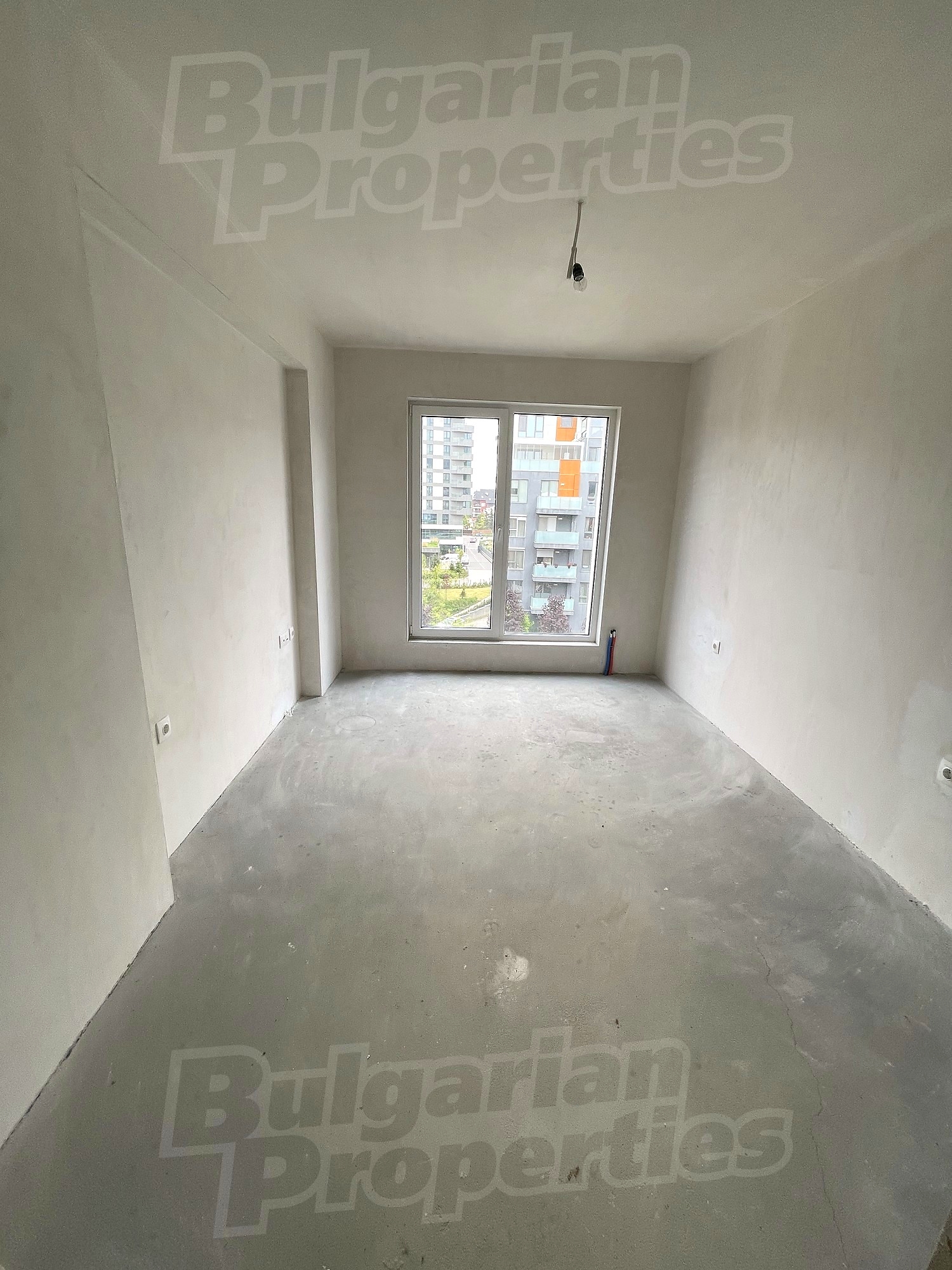 Gallery Picture 12