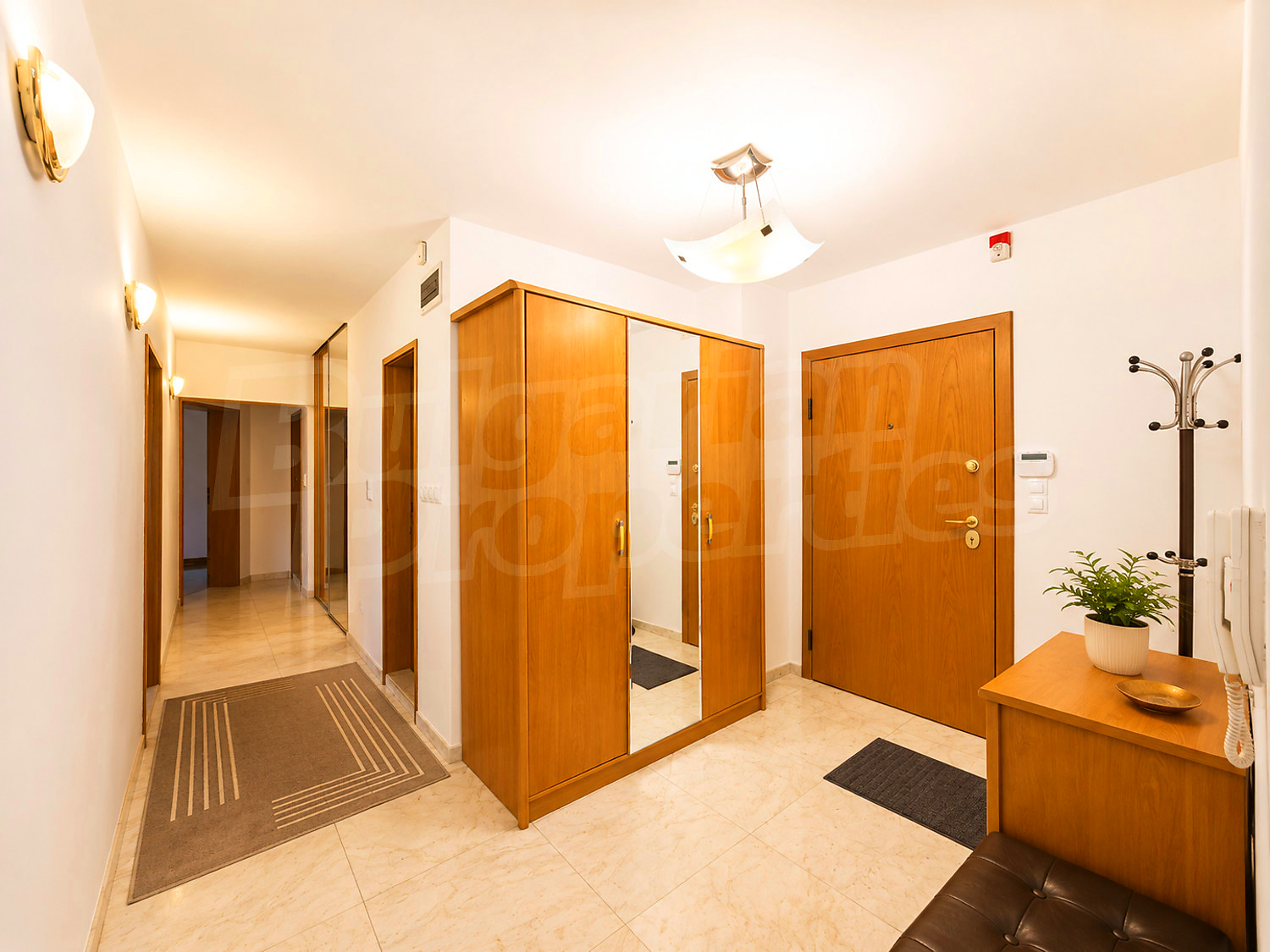Gallery Picture 11