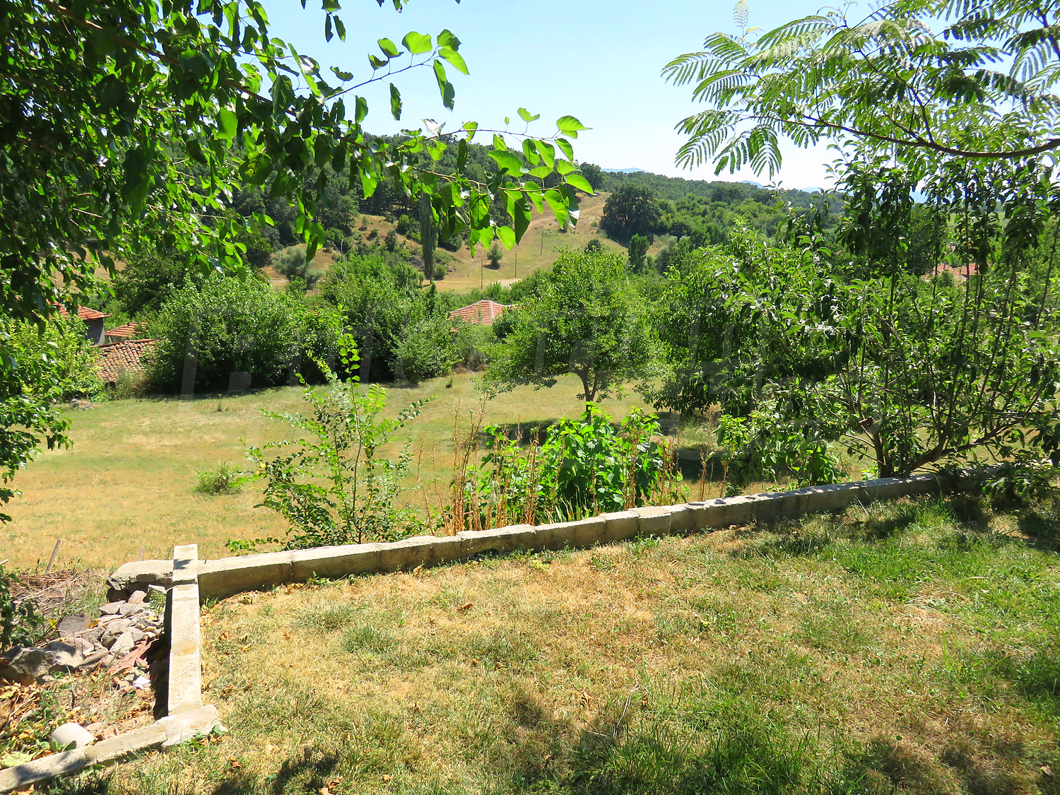 Gallery Picture 33