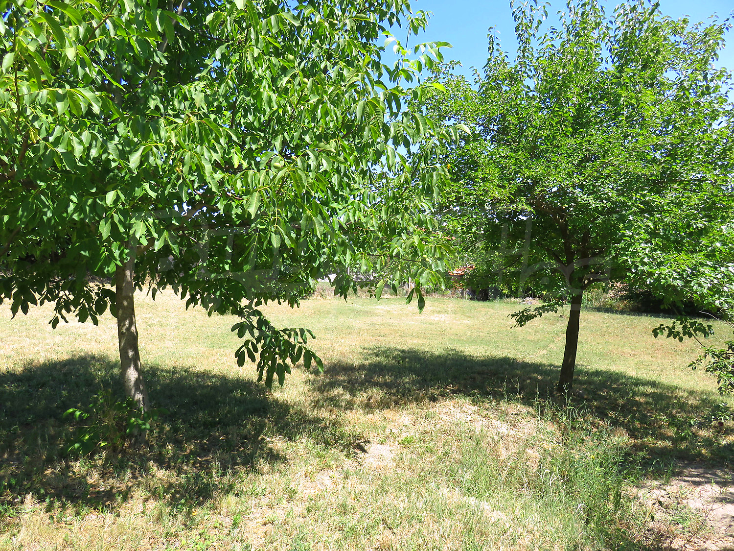 Gallery Picture 39