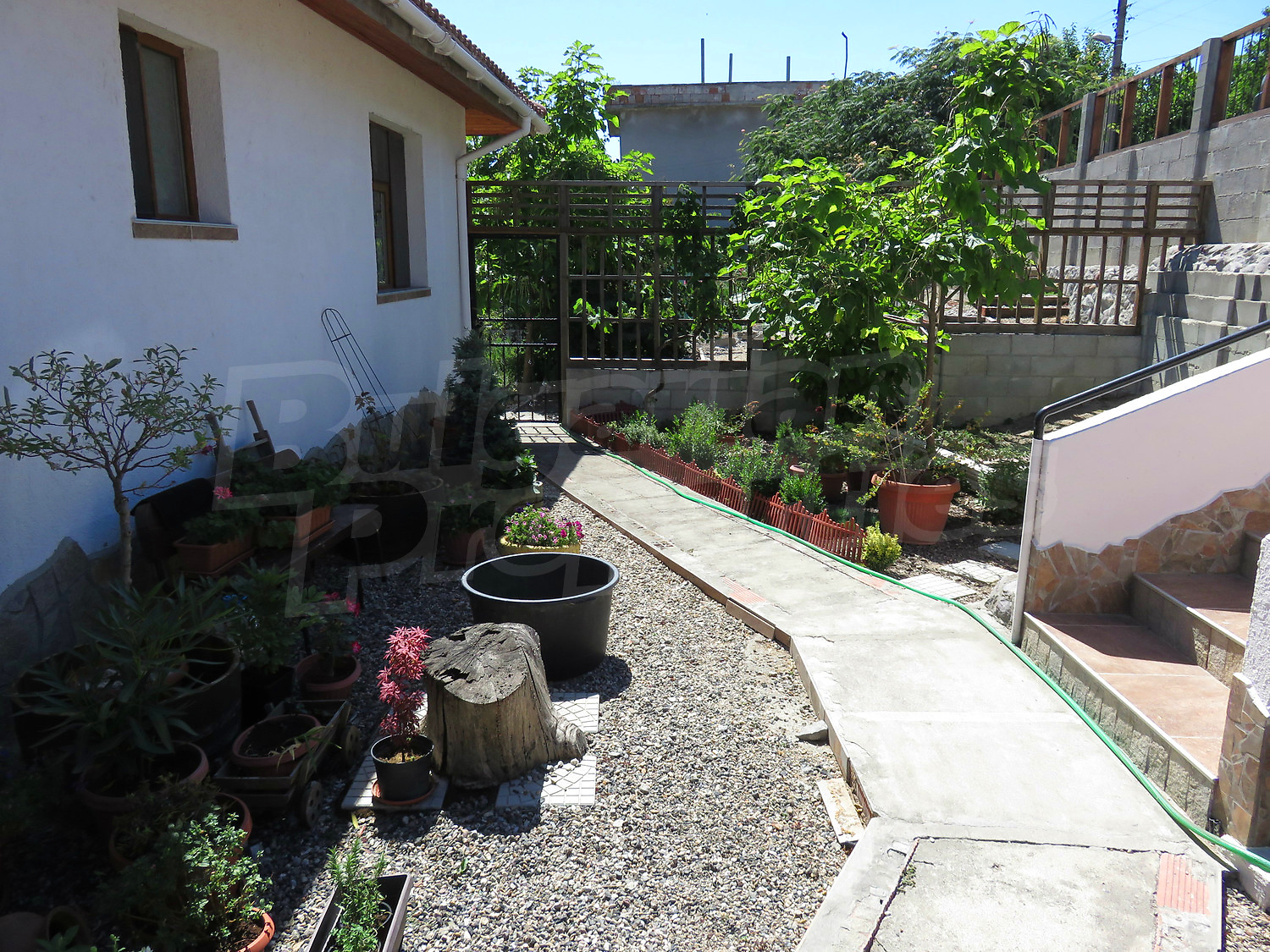 Gallery Picture 61