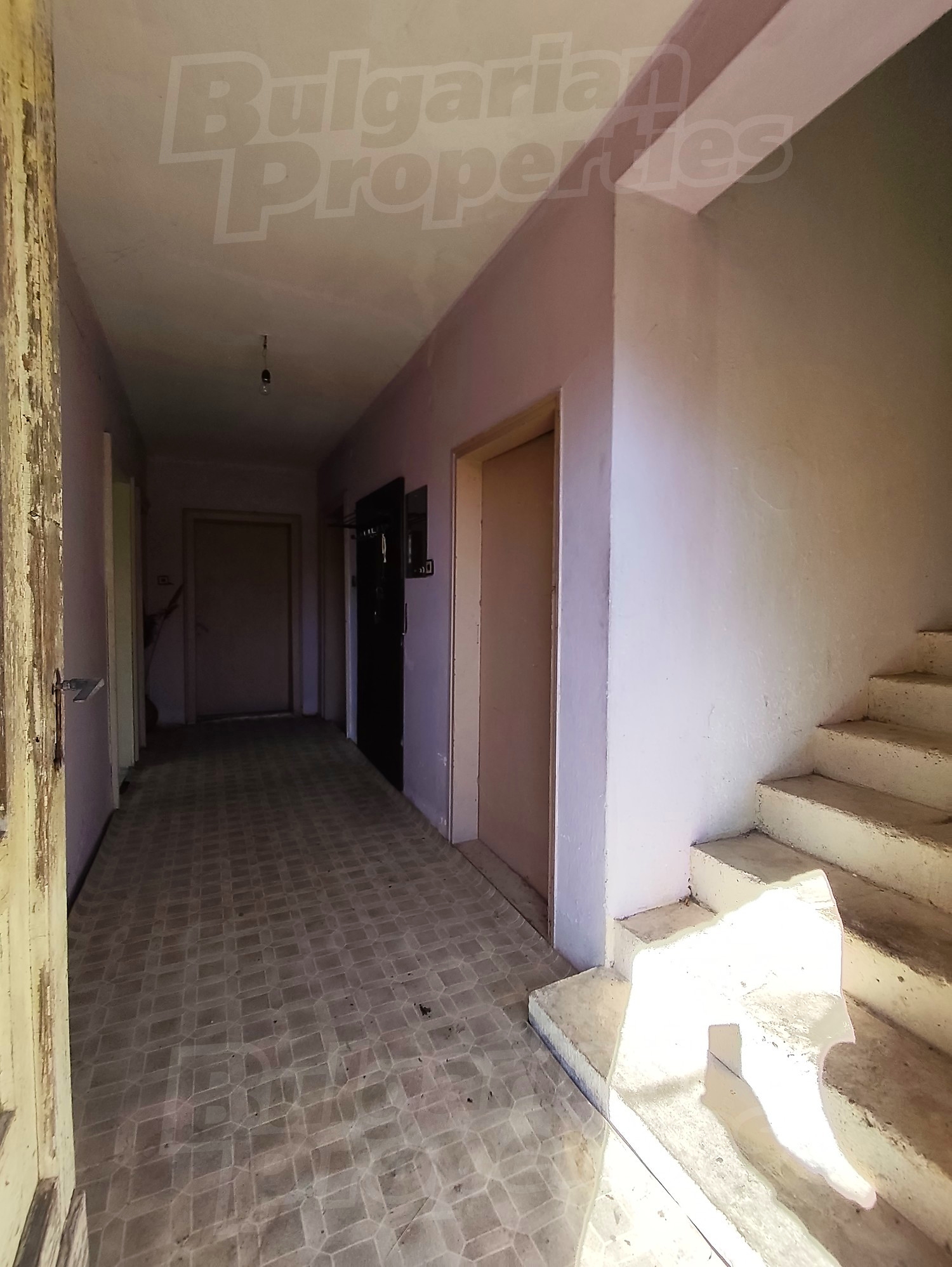 Gallery Picture 2