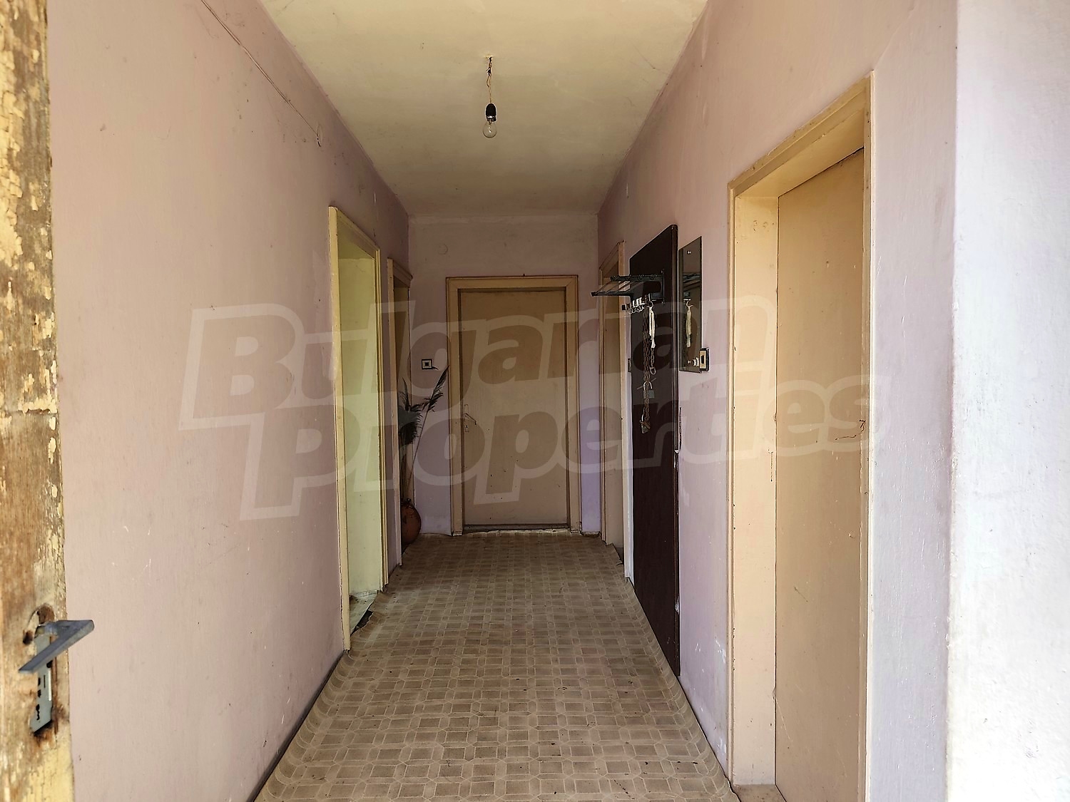 Gallery Picture 10