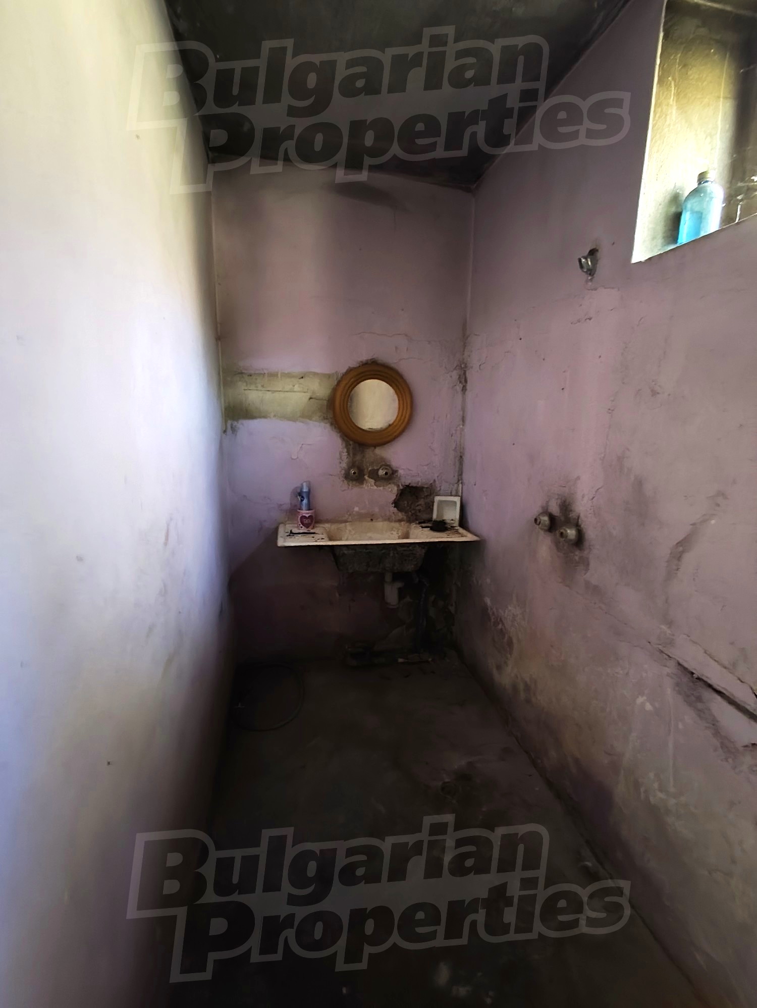 Gallery Picture 19