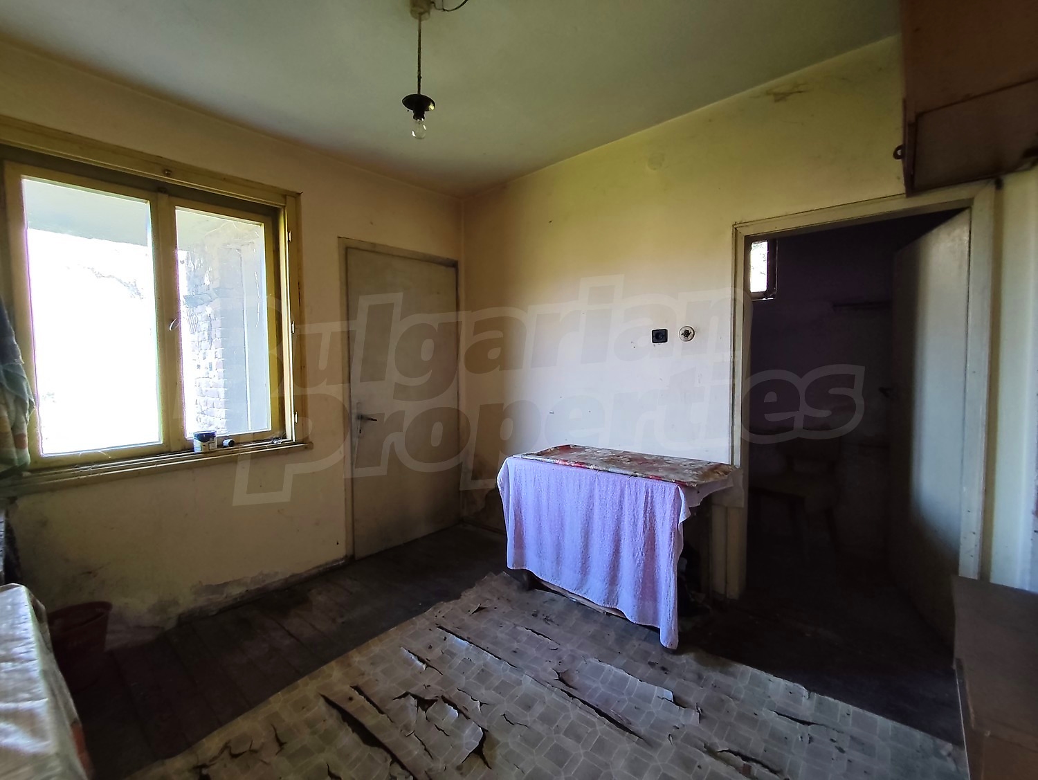 Gallery Picture 18