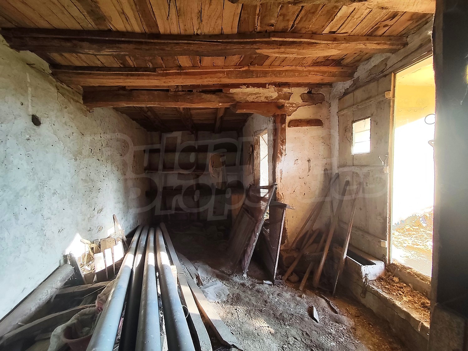 Gallery Picture 11