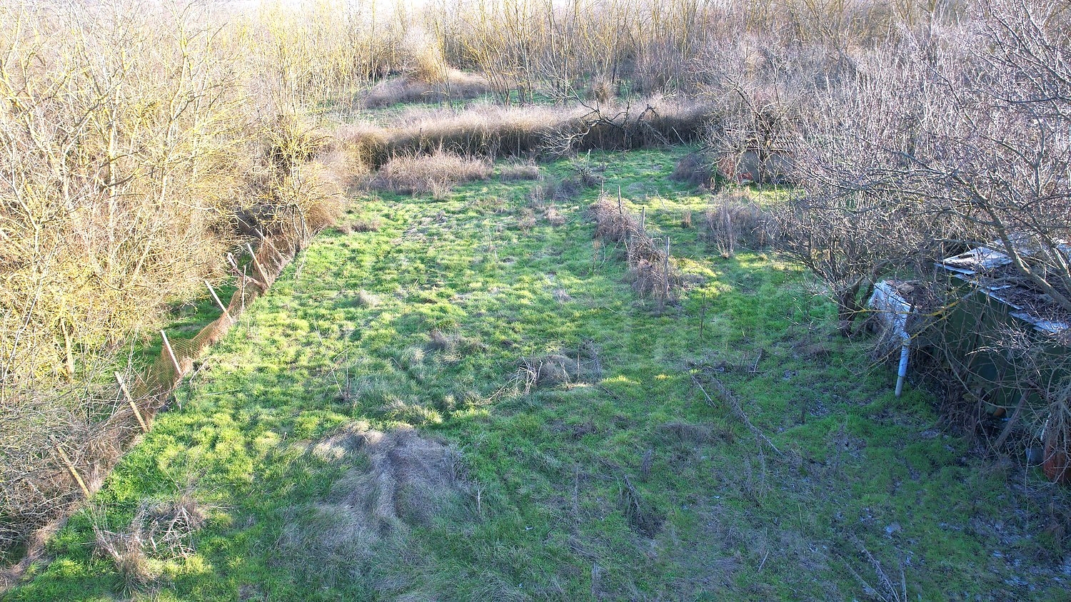 Gallery Picture 34