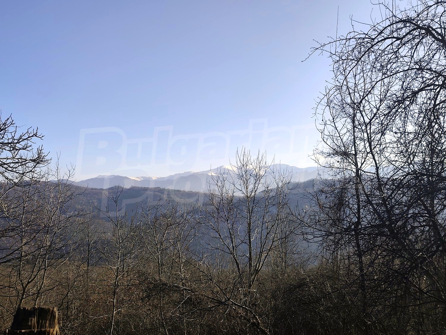Gallery Picture 27