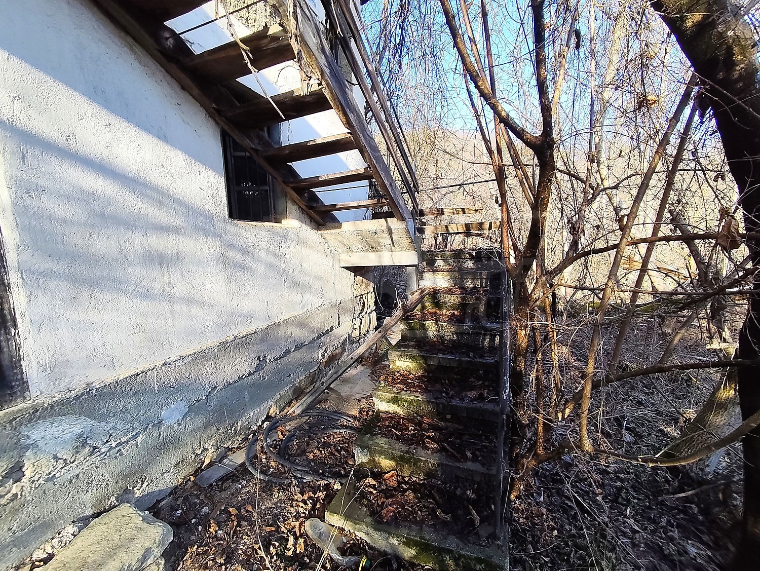 Gallery Picture 14